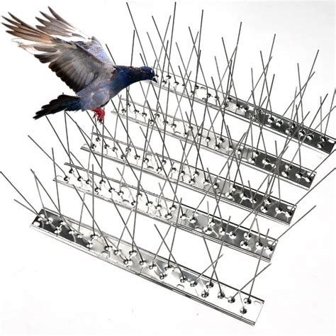 stainless steel spikes for birds